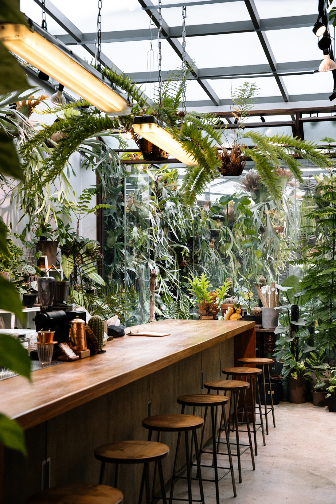 分享植物收藏，造一方城市綠洲：台中烘焙咖啡館「Fun Nice芳奈」